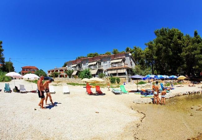 Appartamento a Vir - Appartamento in Vir con vista mare, terrazzo, Climatizzazione, WIFI (4595-5) Appartamento a Vir - Appartamento in Vir con vista mare, terrazzo, Climatizzazione, WIFI (4595-5)