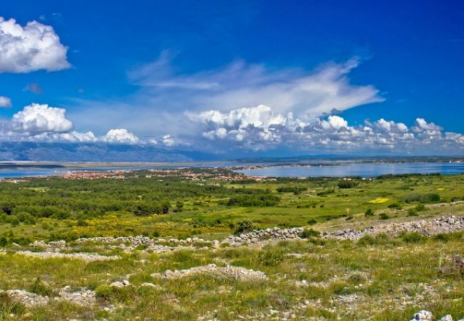 Appartamento a Vir - Appartamento in Vir con vista mare, terrazzo, Climatizzazione, WIFI (4595-5) Appartamento a Vir - Appartamento in Vir con vista mare, terrazzo, Climatizzazione, WIFI (4595-5)