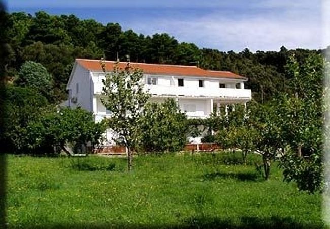 Appartamento a Kampor - Appartamento in Kampor con vista mare, terrazzo, Climatizzazione, WIFI (4610-5) Appartamento a Kampor - Appartamento in Kampor con vista mare, terrazzo, Climatizzazione, WIFI (4610-5)