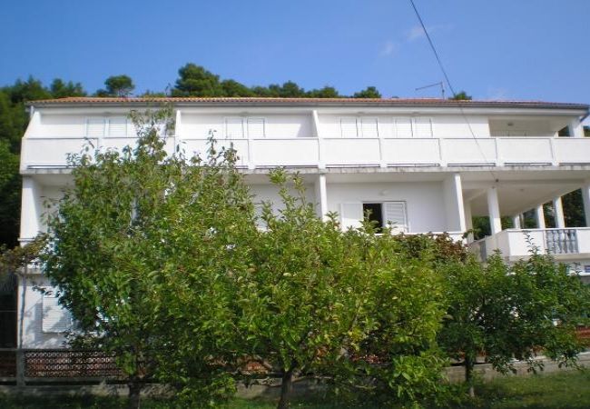 Appartamento a Kampor - Appartamento in Kampor con vista mare, terrazzo, Climatizzazione, WIFI (4610-5) Appartamento a Kampor - Appartamento in Kampor con vista mare, terrazzo, Climatizzazione, WIFI (4610-5)