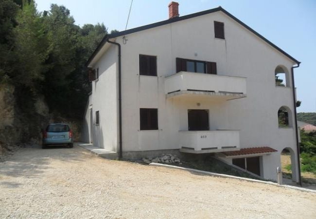 Appartamento a Palit - Appartamento in Palit con vista mare, balcone, WIFI (4606-3) Appartamento a Palit - Appartamento in Palit con vista mare, balcone, WIFI (4606-3)