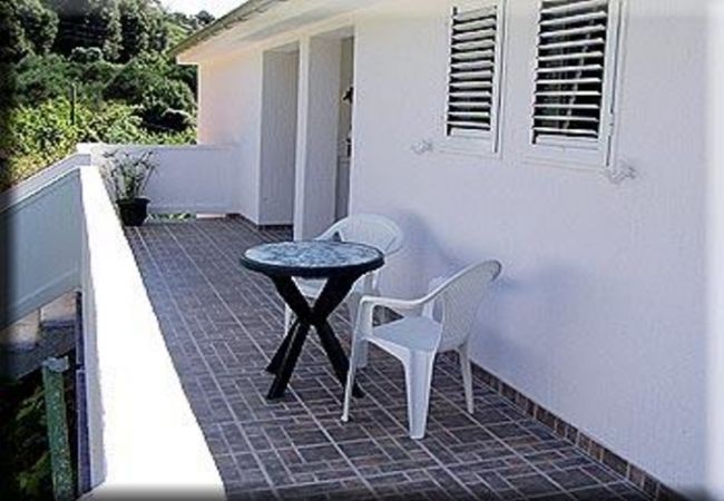 Appartamento a Kampor - Appartamento in Kampor con vista mare, terrazzo, Climatizzazione, WIFI (4610-3) Appartamento a Kampor - Appartamento in Kampor con vista mare, terrazzo, Climatizzazione, WIFI (4610-3)