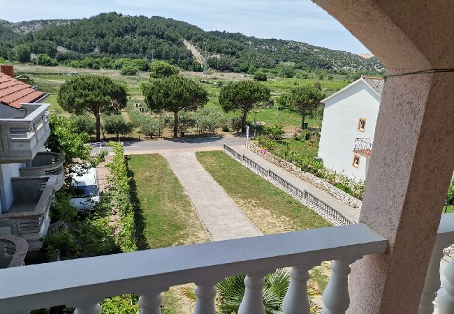 Appartamento a Lopar - Appartamento in Loparo (Lopar) con terrazzo, Climatizzazione, WIFI (4620-3) Appartamento a Lopar - Appartamento in Loparo (Lopar) con terrazzo, Climatizzazione, WIFI (4620-3)