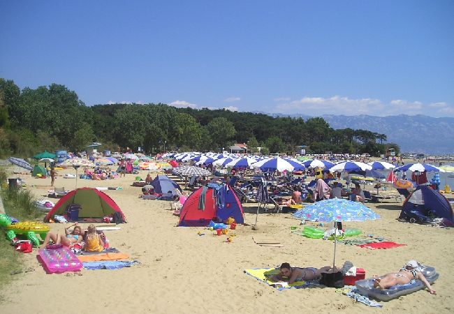 Appartamento a Lopar - Appartamento in Loparo (Lopar) con terrazzo, Climatizzazione, WIFI (4620-3) Appartamento a Lopar - Appartamento in Loparo (Lopar) con terrazzo, Climatizzazione, WIFI (4620-3)