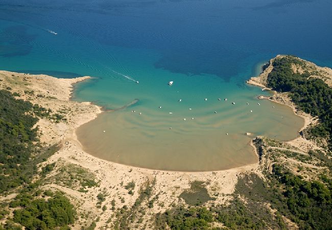 Appartamento a Lopar - Appartamento in Loparo (Lopar) con terrazzo, Climatizzazione, WIFI (4620-3) Appartamento a Lopar - Appartamento in Loparo (Lopar) con terrazzo, Climatizzazione, WIFI (4620-3)