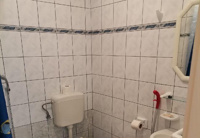 Appartamento a Lopar - Appartamento in Loparo (Lopar) con terrazzo, Climatizzazione, WIFI (4620-4) Appartamento a Lopar - Appartamento in Loparo (Lopar) con terrazzo, Climatizzazione, WIFI (4620-4)