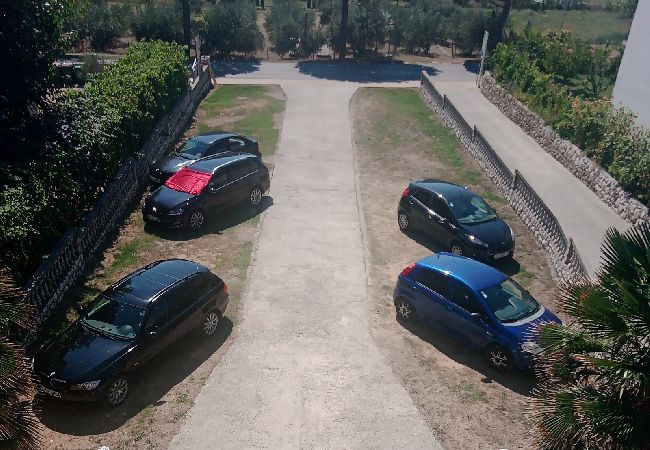 Appartamento a Lopar - Appartamento in Loparo (Lopar) con terrazzo, Climatizzazione, WIFI (4620-4) Appartamento a Lopar - Appartamento in Loparo (Lopar) con terrazzo, Climatizzazione, WIFI (4620-4)