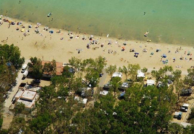 Appartamento a Lopar - Appartamento in Loparo (Lopar) con terrazzo, Climatizzazione, WIFI (4620-4) Appartamento a Lopar - Appartamento in Loparo (Lopar) con terrazzo, Climatizzazione, WIFI (4620-4)