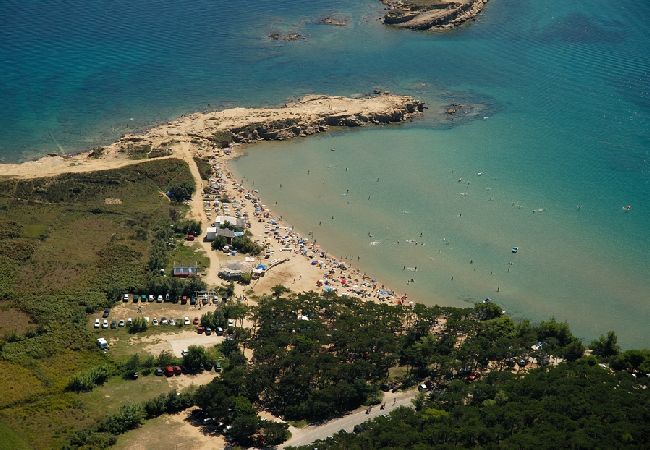 Appartamento a Lopar - Appartamento in Loparo (Lopar) con terrazzo, Climatizzazione, WIFI (4620-4) Appartamento a Lopar - Appartamento in Loparo (Lopar) con terrazzo, Climatizzazione, WIFI (4620-4)