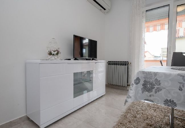 Appartamento a Palit - Appartamento in Palit con balcone, Climatizzazione, WIFI, Lavastoviglie (820-8) Appartamento a Palit - Appartamento in Palit con balcone, Climatizzazione, WIFI, Lavastoviglie (820-8)
