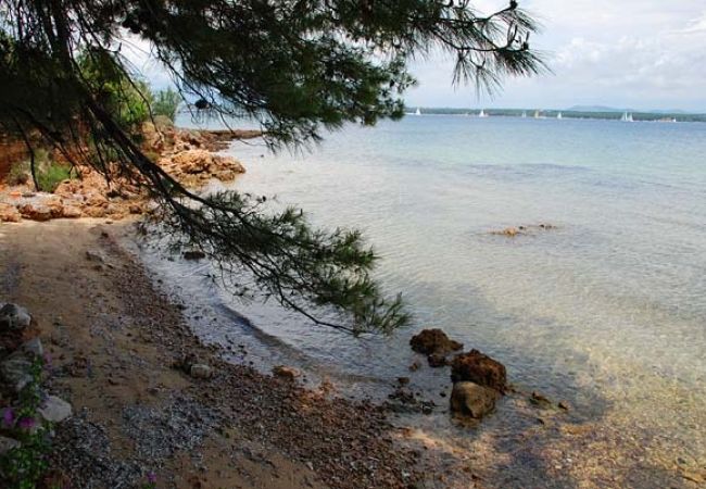 Appartamento a Nevidane - Appartamento in Neviđane con vista mare, terrazzo, Climatizzazione, WIFI (4663-1) Appartamento a Nevidane - Appartamento in Neviđane con vista mare, terrazzo, Climatizzazione, WIFI (4663-1)