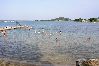 Appartamento a Nevidane - Appartamento in Neviđane con vista mare, terrazzo, Climatizzazione, WIFI (4663-1) Appartamento a Nevidane - Appartamento in Neviđane con vista mare, terrazzo, Climatizzazione, WIFI (4663-1)