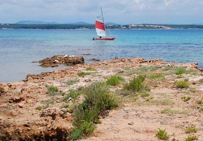 Appartamento a Nevidane - Appartamento in Neviđane con vista mare, balcone, Climatizzazione, WIFI (4663-3) Appartamento a Nevidane - Appartamento in Neviđane con vista mare, balcone, Climatizzazione, WIFI (4663-3)
