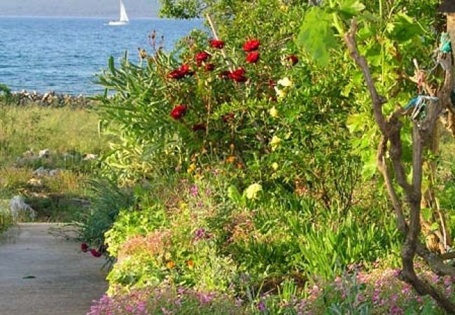 Appartamento a Nevidane - Appartamento in Neviđane con vista mare, balcone, Climatizzazione, WIFI (4663-4) Appartamento a Nevidane - Appartamento in Neviđane con vista mare, balcone, Climatizzazione, WIFI (4663-4)