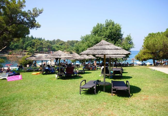 Studio a Porec - Appartamento Studio in Parenzo (Porec) con balcone, Climatizzazione, WIFI (4676-3) Studio a Porec - Appartamento Studio in Parenzo (Porec) con balcone, Climatizzazione, WIFI (4676-3)