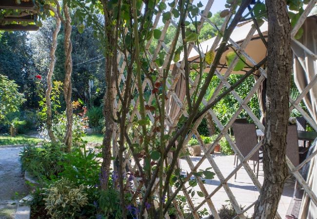 Studio a Rovinj - Appartamento Studio in Rovigno (Rovinj) con terrazzo, Climatizzazione, WIFI, Lavatrice (4686-5) Studio a Rovinj - Appartamento Studio in Rovigno (Rovinj) con terrazzo, Climatizzazione, WIFI, Lavatrice (4686-5)