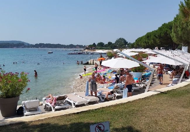 Appartamento a Medulin - Appartamento in Medolino (Medulin) con vista mare, terrazzo, Climatizzazione, WIFI (4635-3) Appartamento a Medulin - Appartamento in Medolino (Medulin) con vista mare, terrazzo, Climatizzazione, WIFI (4635-3)