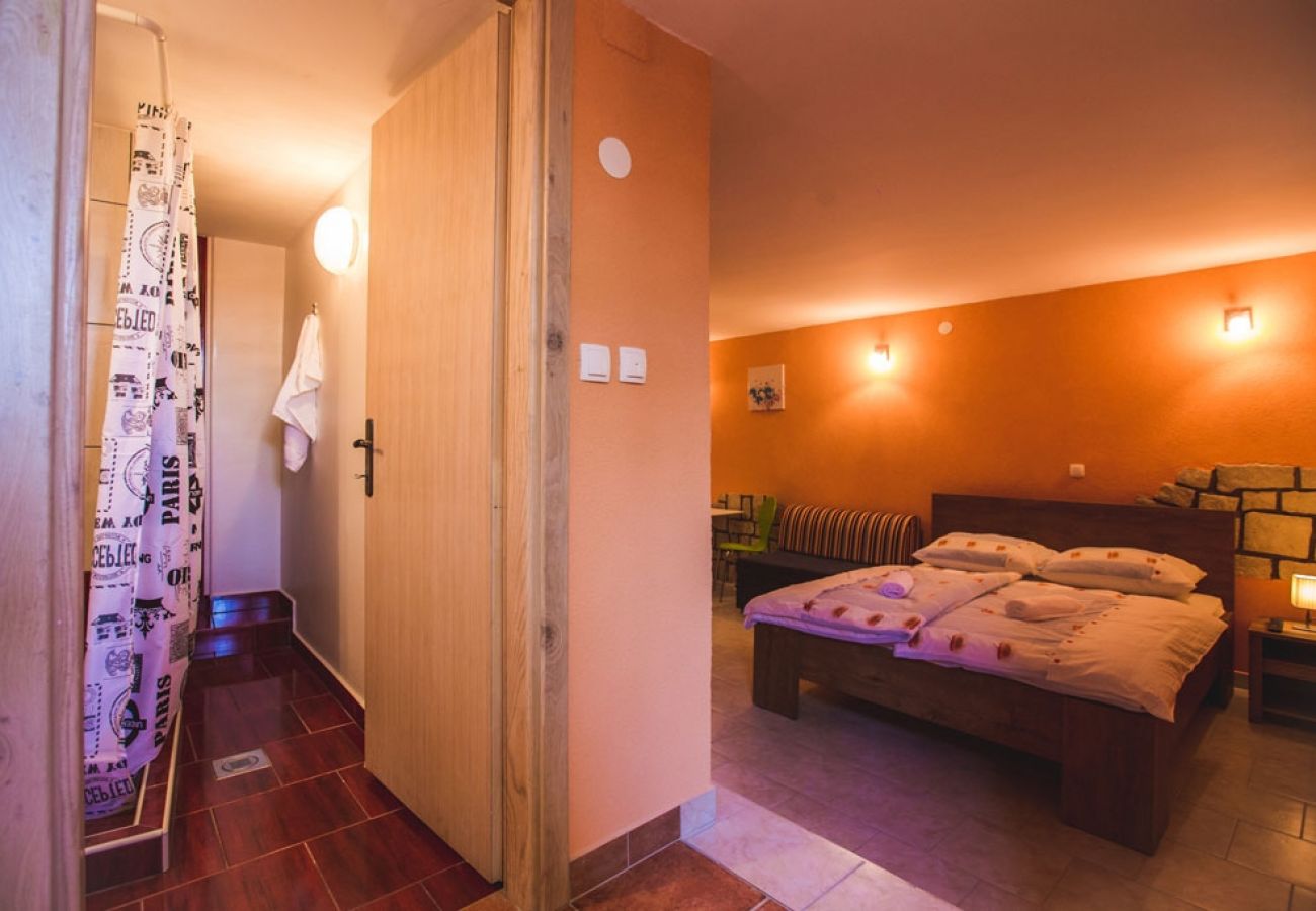 Studio a Lopar - Appartamento Studio in Loparo (Lopar) con terrazzo, Climatizzazione, WIFI (4739-1)