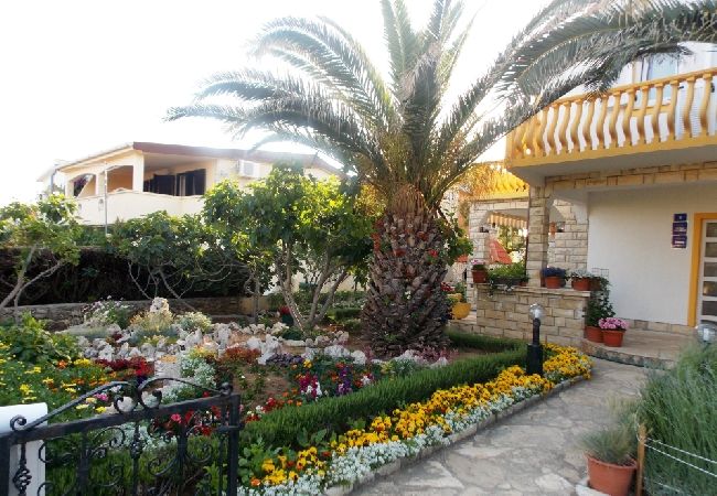 Studio a Vir - Appartamento Studio in Vir con balcone, Climatizzazione, WIFI, Lavatrice (4776-3) Studio a Vir - Appartamento Studio in Vir con balcone, Climatizzazione, WIFI, Lavatrice (4776-3)