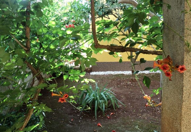 Appartamento a Slatine - Appartamento in Slatine con vista mare, balcone, Climatizzazione, WIFI (4782-1) Appartamento a Slatine - Appartamento in Slatine con vista mare, balcone, Climatizzazione, WIFI (4782-1)