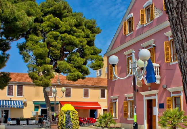 Appartamento a Biograd na moru - Appartamento in Zaravecchia (Biograd) con terrazzo, Climatizzazione, WIFI (4805-6) Appartamento a Biograd na moru - Appartamento in Zaravecchia (Biograd) con terrazzo, Climatizzazione, WIFI (4805-6)