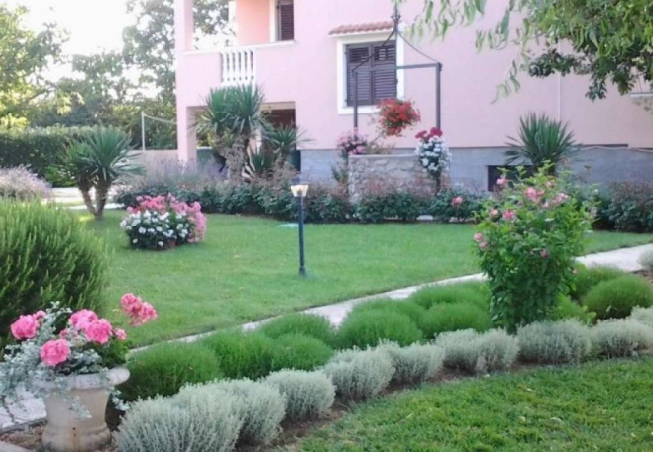 Appartamento a Nin - Appartamento in Zaton (Zadar) con balcone, Climatizzazione, WIFI (4810-2)