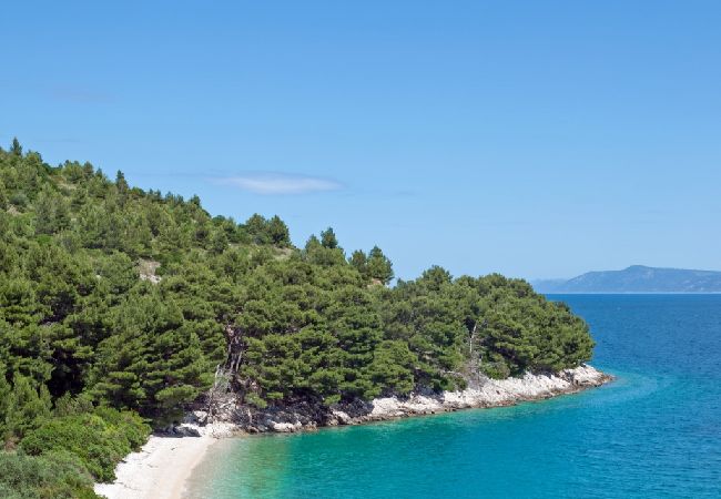 Appartamento a Podgora - Appartamento in Podgora con terrazzo, Climatizzazione, WIFI (4492-8) Appartamento a Podgora - Appartamento in Podgora con terrazzo, Climatizzazione, WIFI (4492-8)