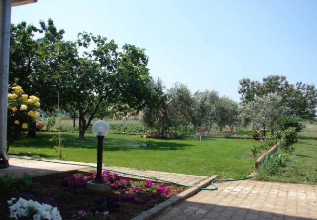 Appartamento a Nin - Appartamento in Zaton (Zadar) con terrazzo, Climatizzazione, WIFI, Lavatrice (4814-3) Appartamento a Nin - Appartamento in Zaton (Zadar) con terrazzo, Climatizzazione, WIFI, Lavatrice (4814-3)