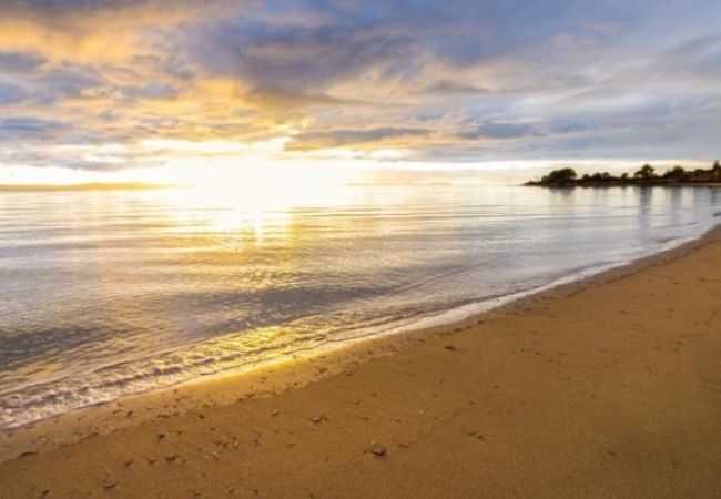 Appartamento a Nin - Appartamento in Zaton (Zadar) con terrazzo, Climatizzazione, WIFI, Lavatrice (4814-4) Appartamento a Nin - Appartamento in Zaton (Zadar) con terrazzo, Climatizzazione, WIFI, Lavatrice (4814-4)