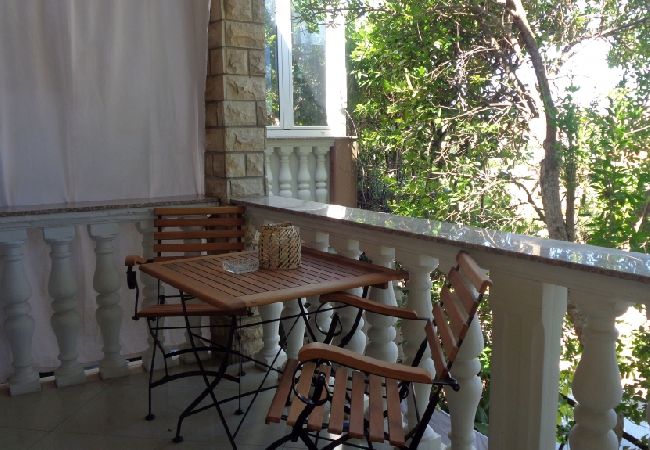 Studio a Biograd na moru - Appartamento Studio in Zaravecchia (Biograd) con balcone, Climatizzazione, WIFI (4818-3) Studio a Biograd na moru - Appartamento Studio in Zaravecchia (Biograd) con balcone, Climatizzazione, WIFI (4818-3)