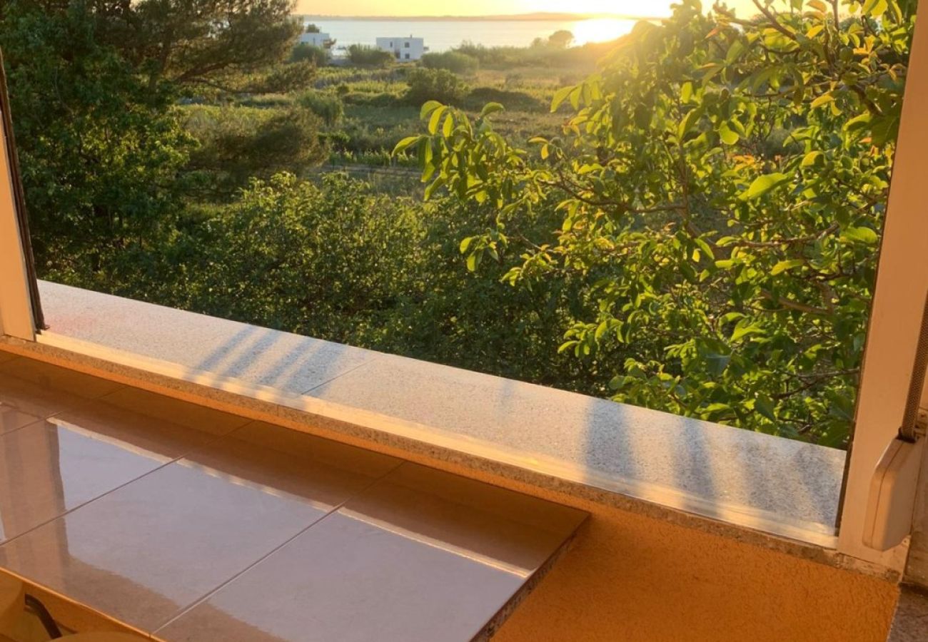 Appartamento a Vrsi - Apartment in Vrsi with Seaview, Terrace, Air condition, WIFI (4824-7)