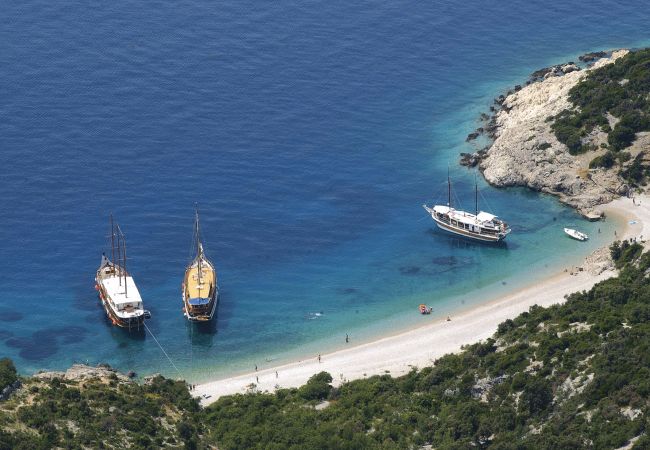 Appartamento a Nerezine - Appartamento in Nerezine con Climatizzazione, WIFI, Lavatrice, Lavastoviglie (4827-2) Appartamento a Nerezine - Appartamento in Nerezine con Climatizzazione, WIFI, Lavatrice, Lavastoviglie (4827-2)