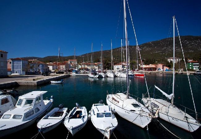 Appartamento a Nerezine - Appartamento in Nerezine con Climatizzazione, WIFI, Lavatrice, Lavastoviglie (4827-2) Appartamento a Nerezine - Appartamento in Nerezine con Climatizzazione, WIFI, Lavatrice, Lavastoviglie (4827-2)