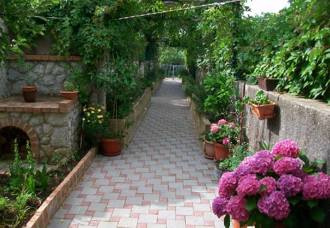 Appartamento a Nerezine - Appartamento in Nerezine con terrazzo, Climatizzazione, WIFI, Lavatrice (4827-3) Appartamento a Nerezine - Appartamento in Nerezine con terrazzo, Climatizzazione, WIFI, Lavatrice (4827-3)