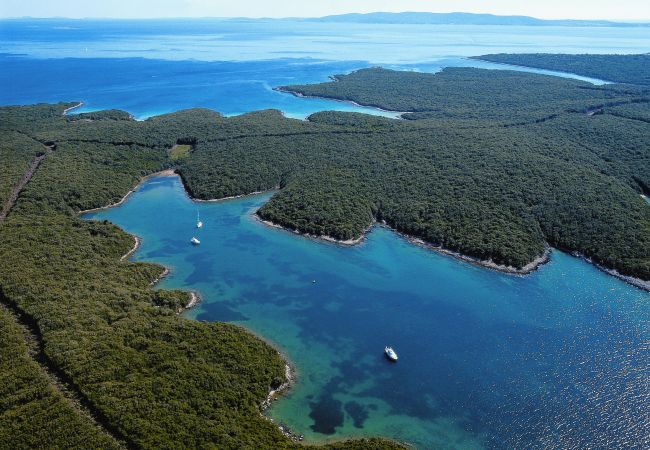 Studio a Nerezine - Appartamento Studio in Nerezine con balcone, Climatizzazione, WIFI, Lavatrice (4827-4) Studio a Nerezine - Appartamento Studio in Nerezine con balcone, Climatizzazione, WIFI, Lavatrice (4827-4)