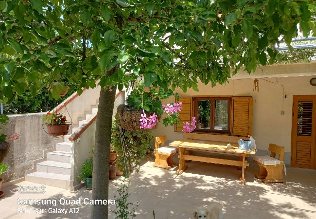 Studio a Nerezine - Appartamento Studio in Nerezine con balcone, Climatizzazione, WIFI, Lavatrice (4827-4) Studio a Nerezine - Appartamento Studio in Nerezine con balcone, Climatizzazione, WIFI, Lavatrice (4827-4)