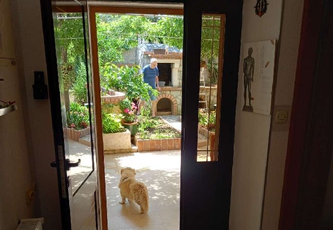 Studio a Nerezine - Appartamento Studio in Nerezine con balcone, Climatizzazione, WIFI, Lavatrice (4827-4) Studio a Nerezine - Appartamento Studio in Nerezine con balcone, Climatizzazione, WIFI, Lavatrice (4827-4)