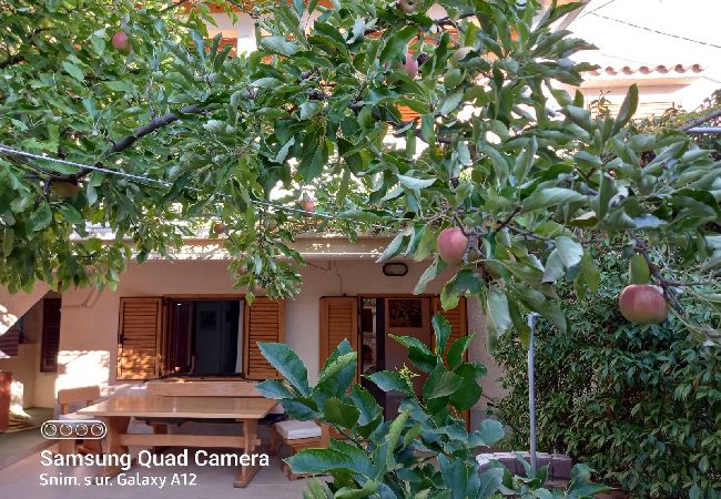 Studio a Nerezine - Appartamento Studio in Nerezine con balcone, Climatizzazione, WIFI, Lavatrice (4827-4) Studio a Nerezine - Appartamento Studio in Nerezine con balcone, Climatizzazione, WIFI, Lavatrice (4827-4)