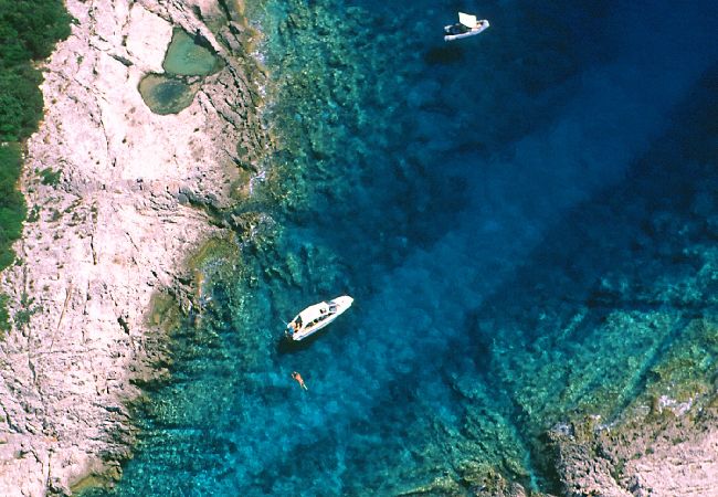 Affitto per camere a Nerezine - Camera in Nerezine con terrazzo, WIFI (4827-5) Affitto per camere a Nerezine - Camera in Nerezine con terrazzo, WIFI (4827-5)