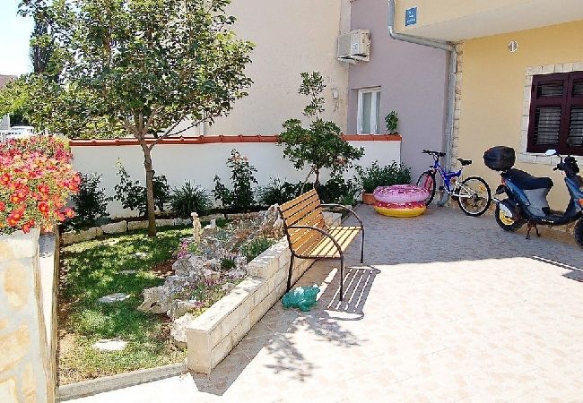 Appartamento a Privlaka - Appartamento in Brevilacqua (Privlaka) con terrazzo, Climatizzazione, WIFI, Lavatrice (4839-1) Appartamento a Privlaka - Appartamento in Brevilacqua (Privlaka) con terrazzo, Climatizzazione, WIFI, Lavatrice (4839-1)