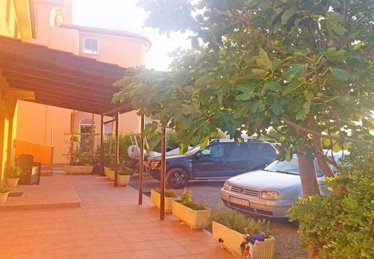 Studio a Lopar - Appartamento Studio in Loparo (Lopar) con terrazzo, Climatizzazione, WIFI (4842-1)