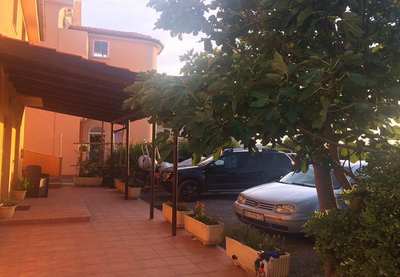 Studio a Lopar - Appartamento Studio in Loparo (Lopar) con terrazzo, Climatizzazione, WIFI (4842-1)