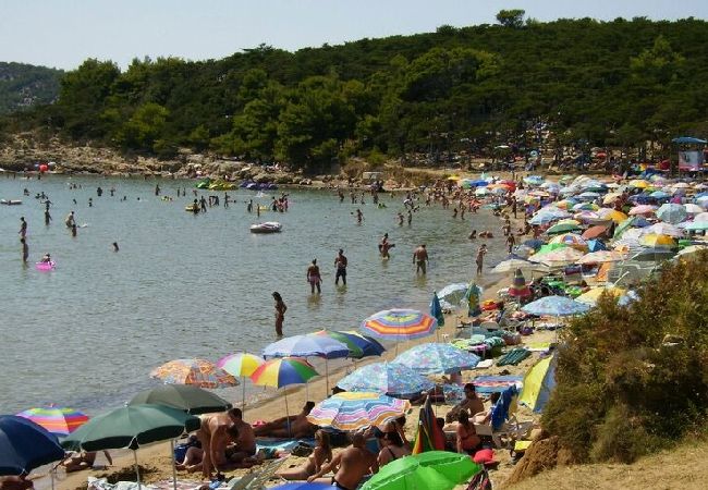 Appartamento a Lopar - Appartamento in Loparo (Lopar) con vista mare, terrazzo, Climatizzazione, WIFI (4842-2) Appartamento a Lopar - Appartamento in Loparo (Lopar) con vista mare, terrazzo, Climatizzazione, WIFI (4842-2)