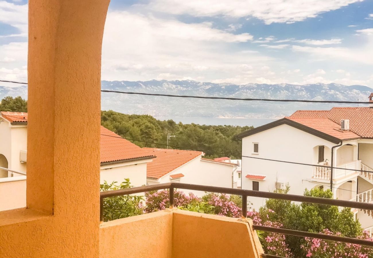 Appartamento a Lopar - Appartamento in Loparo (Lopar) con vista mare, balcone, Climatizzazione, WIFI (4842-3)