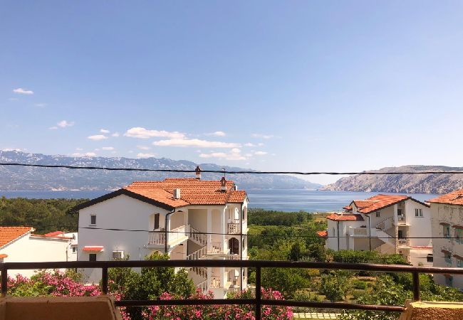 Studio a Lopar - Appartamento Studio in Loparo (Lopar) con balcone, Climatizzazione, WIFI (4842-5) Studio a Lopar - Appartamento Studio in Loparo (Lopar) con balcone, Climatizzazione, WIFI (4842-5)