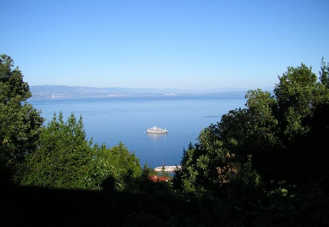 Appartamento a Icici - Appartamento in Ičići con vista mare, terrazzo, WIFI (4870-1) Appartamento a Icici - Appartamento in Ičići con vista mare, terrazzo, WIFI (4870-1)