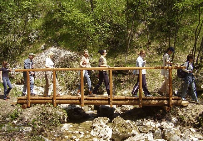 Appartamento a Icici - Appartamento in Ičići con vista mare, terrazzo, WIFI (4870-1) Appartamento a Icici - Appartamento in Ičići con vista mare, terrazzo, WIFI (4870-1)