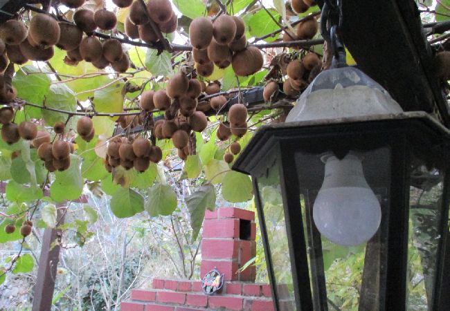 Appartamento a Icici - Appartamento in Ičići con vista mare, terrazzo, WIFI (4870-3) Appartamento a Icici - Appartamento in Ičići con vista mare, terrazzo, WIFI (4870-3)