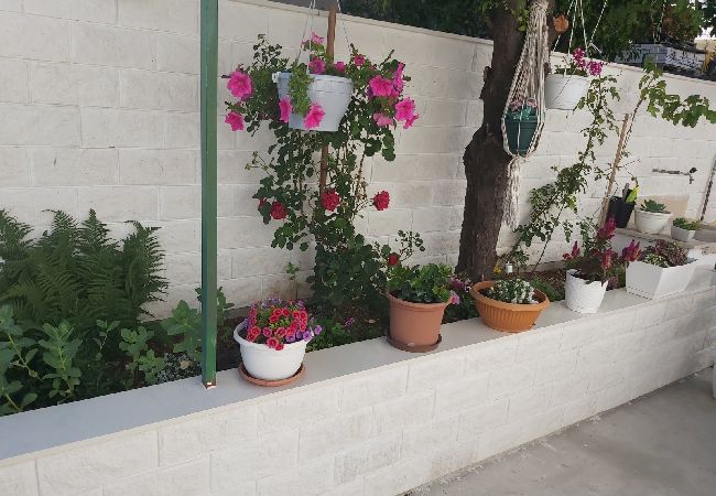 Studio a Hvar - Appartamento Studio in Lesina (Hvar) con terrazzo, Climatizzazione, WIFI, Lavatrice (4858-1) Studio a Hvar - Appartamento Studio in Lesina (Hvar) con terrazzo, Climatizzazione, WIFI, Lavatrice (4858-1)