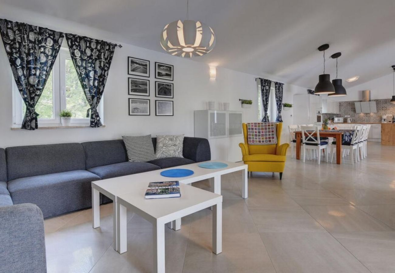 Casa a Nedešcina - Casa di vacanza in Nedešćina con terrazzo, Climatizzazione, WIFI, Lavatrice (4816-1)